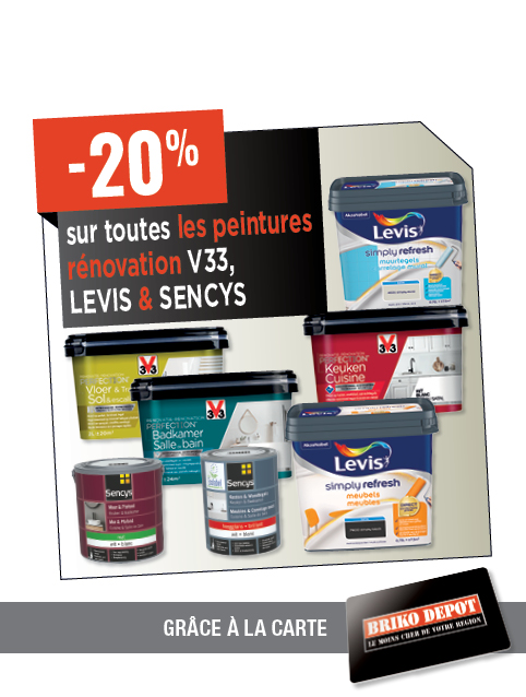 Promotion BRIKO DEPOT